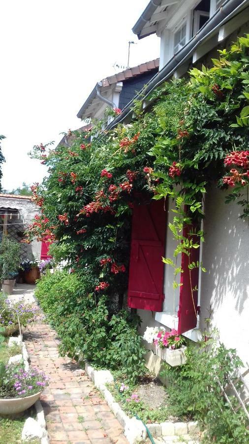 18 Chateaux Et Beauval Sur Un Rayon De 30 Km サン・ジョルジュ・シュル・シェール エクステリア 写真